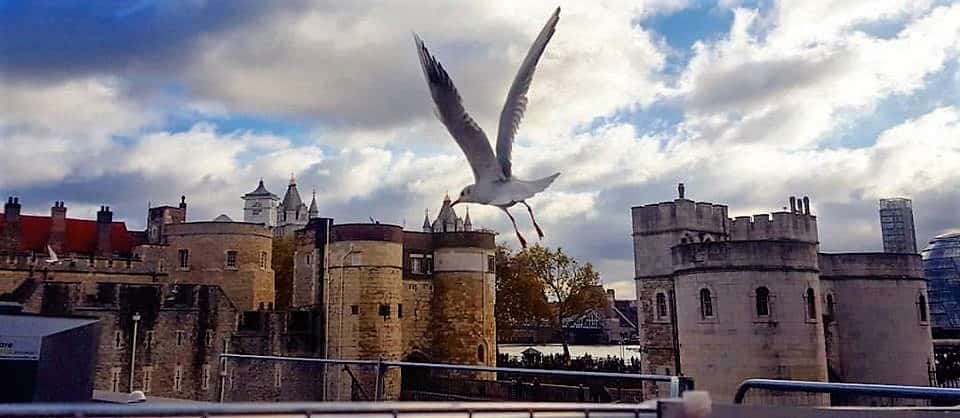 tower of london