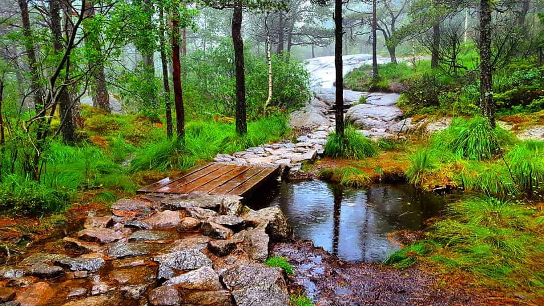 Stavanger, Norway hike view