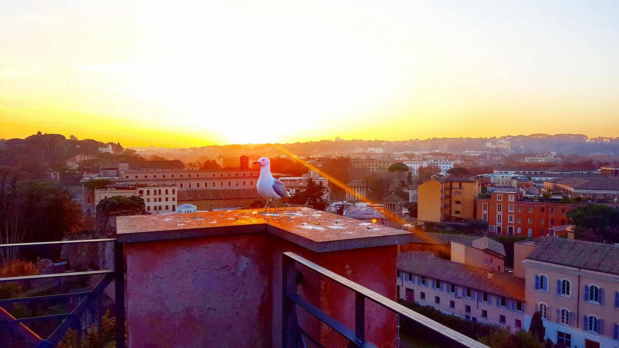 rome italy high point view