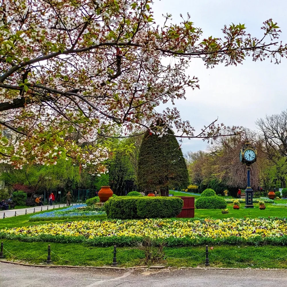 Bucharest, Romania Where the Past Meets the Future in a Symphony of Fun - park