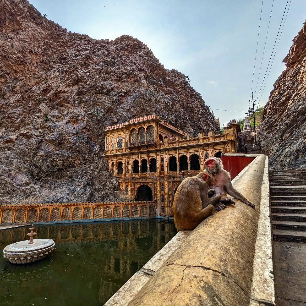 Monkey Temple near Jaipur India