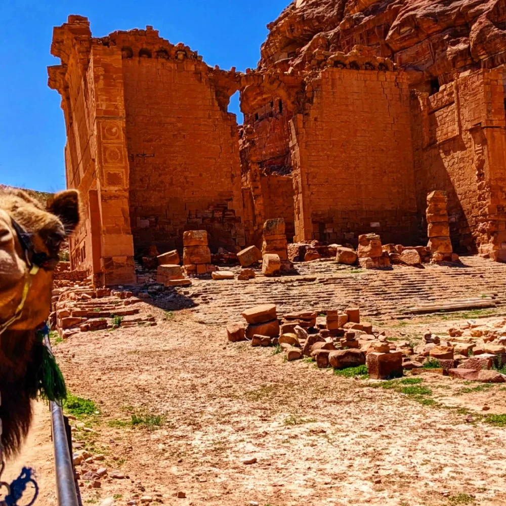 Petra, Jordan Where History, Mystery, and Adventure Unite, camel