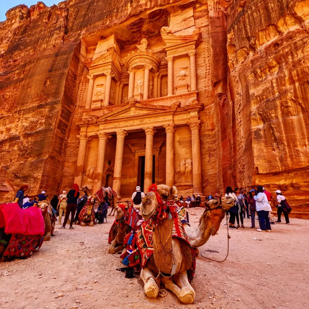 Petra, Jordan Where History, Mystery, and Adventure Unite, camels relaxing