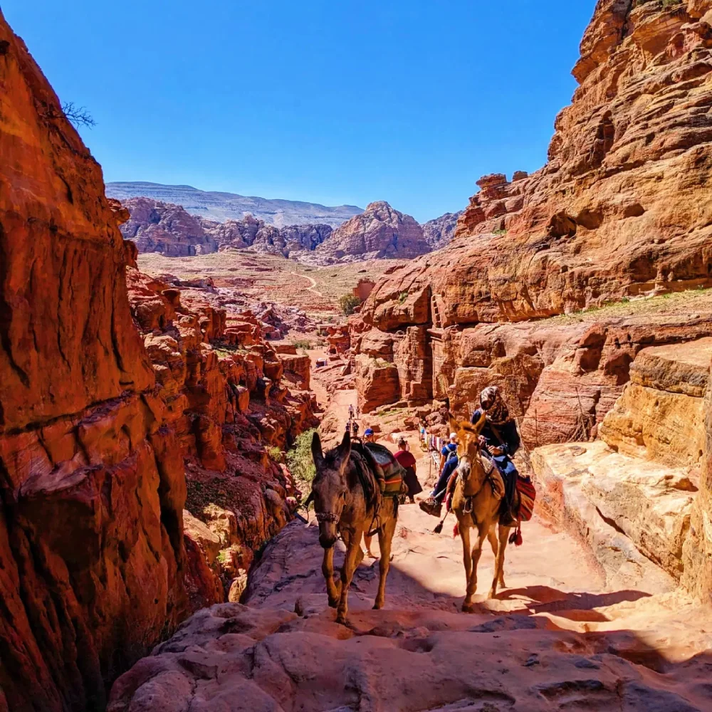 Petra, Jordan Where History, Mystery, and Adventure Unite, tour