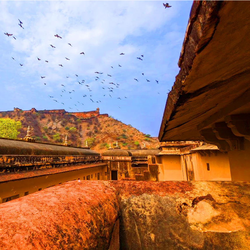 The Amber Fort is a magnificent palace complex located on a hilltop overlooking the city Jaipur India, birds flying