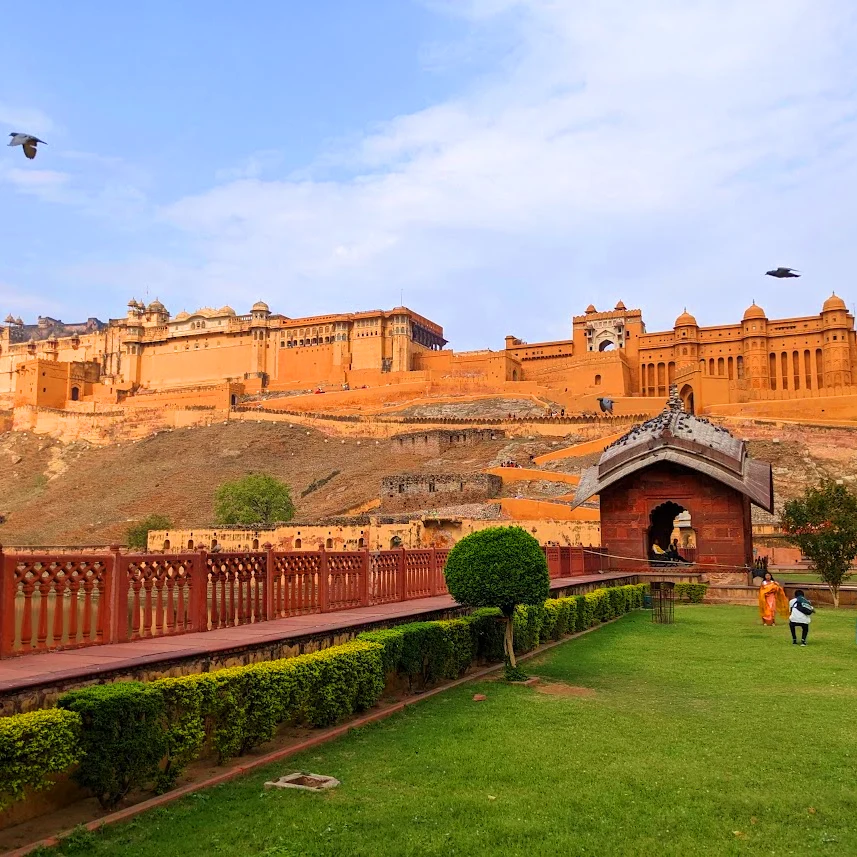 The Amber Fort is a magnificent palace complex located on a hilltop overlooking the city. It is one of the most popular tourist attractions in Jaipur India birds