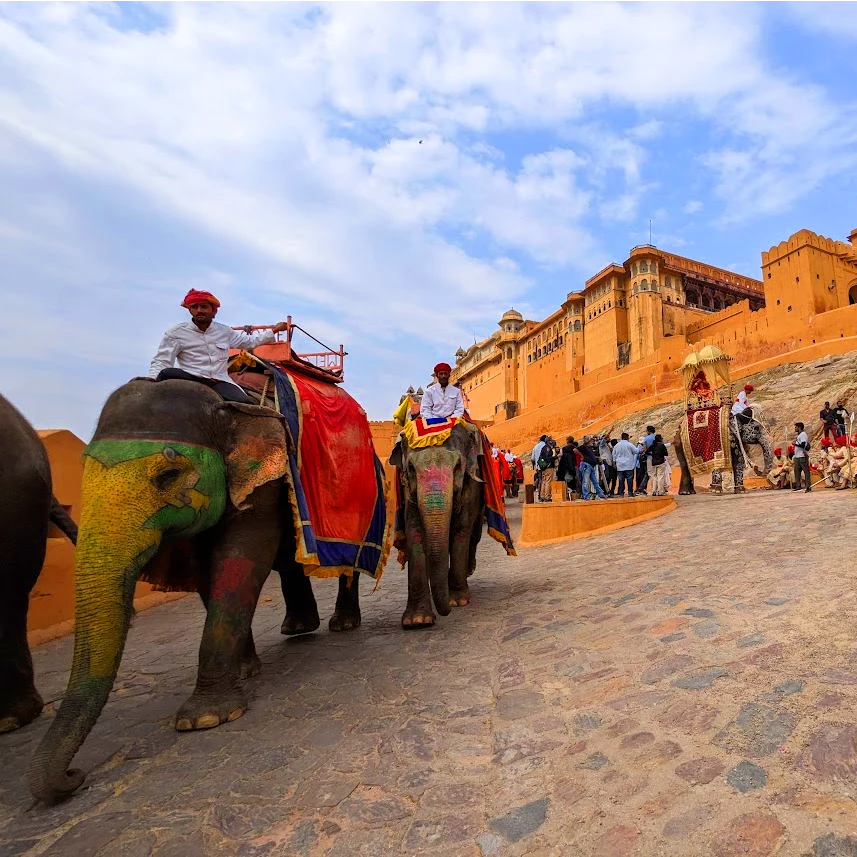 The Amber Fort is a magnificent palace complex located on a hilltop overlooking the city. It is one of the most popular tourist attractions in Jaipur India, elepants