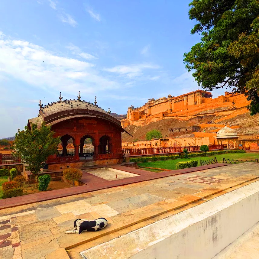 The Amber Fort is a magnificent palace complex located on a hilltop overlooking the city. It is one of the most popular tourist attractions in Jaipur india view