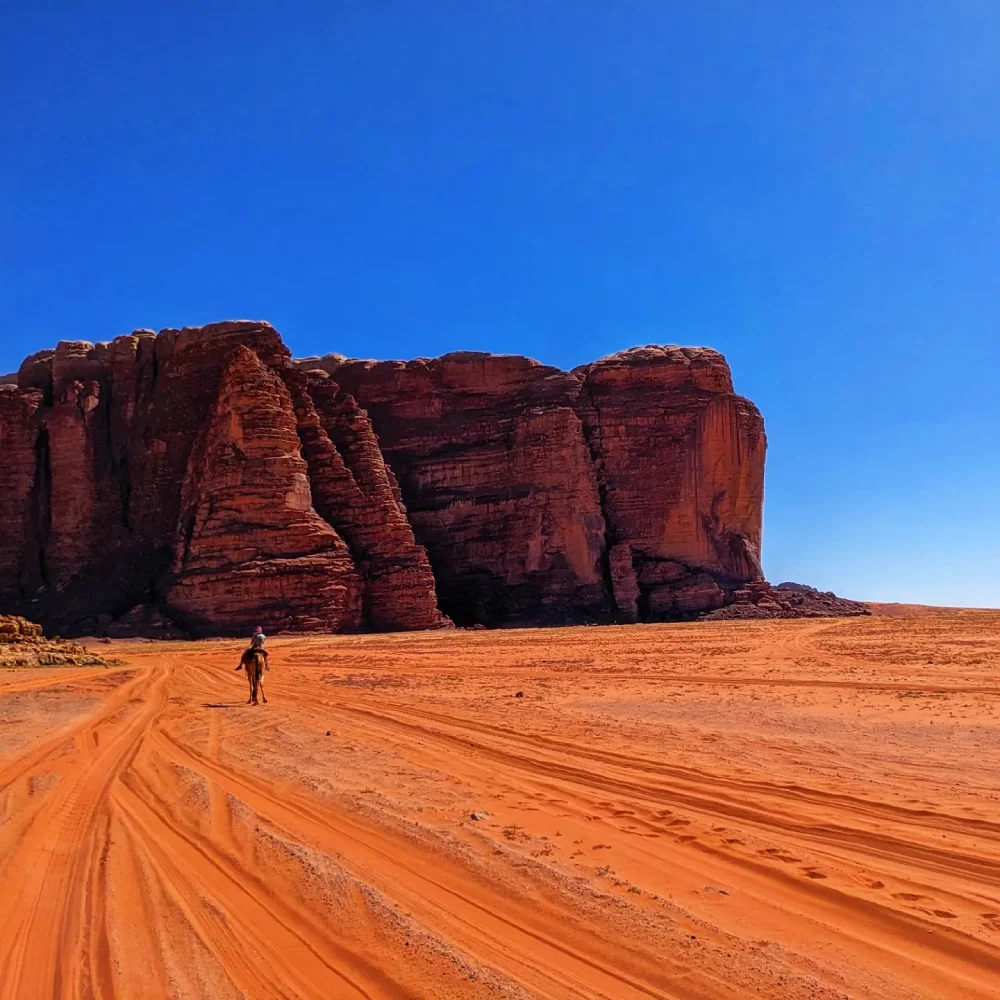 Wadi Rum Jordan lone camel rider