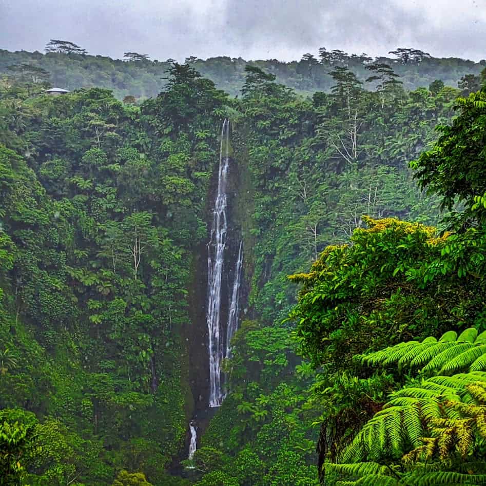 Samoa activities to do Papapapaitai falls