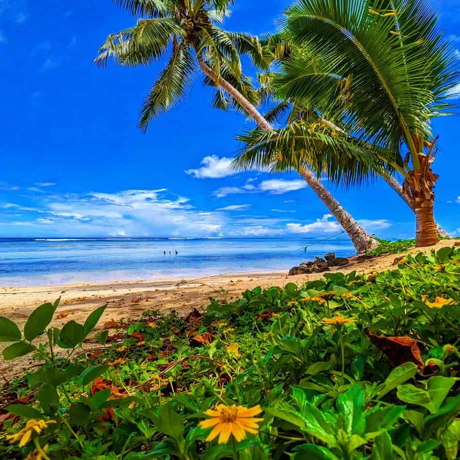 Samoa activities to do beach and flowers