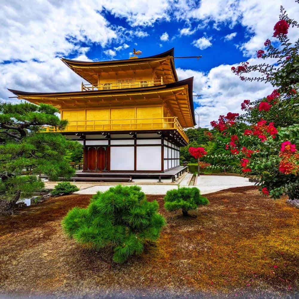 Kinkaku-ji with flowers Kyoto, Japan - Things To Do And See