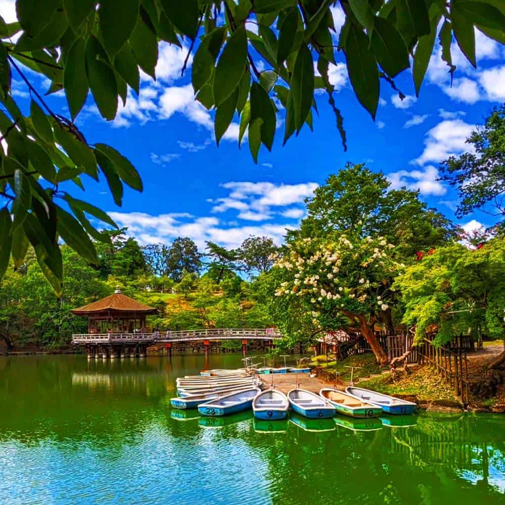 boats and hot on the lake Nara, Japan - Things To Do And See