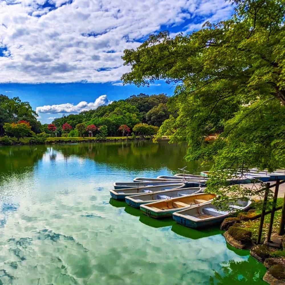 boats at Nara, Japan - Things To Do And See