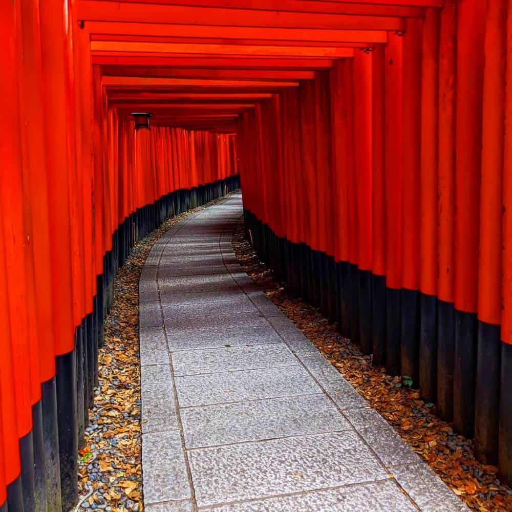 walkway with many pols Fushimi Inari Taisha Kyoto, Japan - Things To Do And See